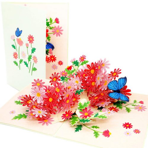 Colorful Marguerite Daisy Flowers Pop Up Card